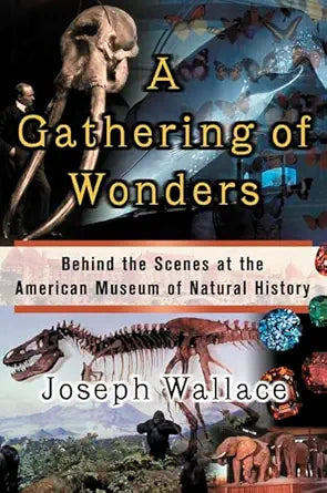 A Gathering of Wonders cover image